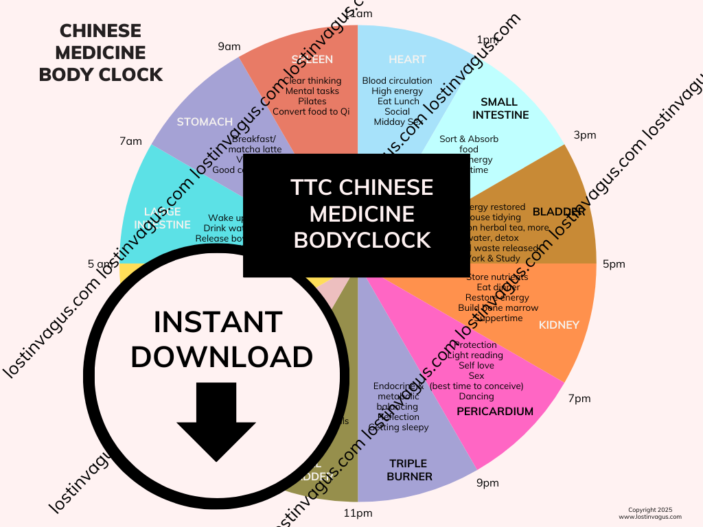 Traditional Chinese Medicine Body Clock (Instant Download)