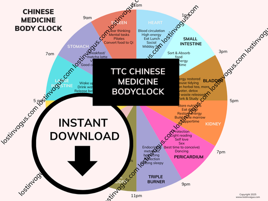 Traditional Chinese Medicine Body Clock (Instant Download)